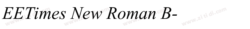 EETimes New Roman B字体转换
